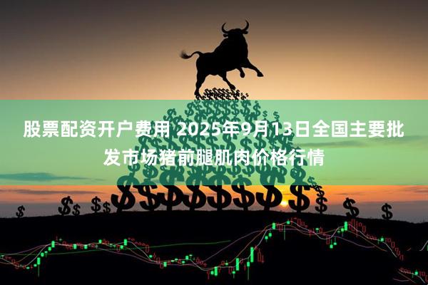 股票配资开户费用 2025年9月13日全国主要批发市场猪前腿肌肉价格行情