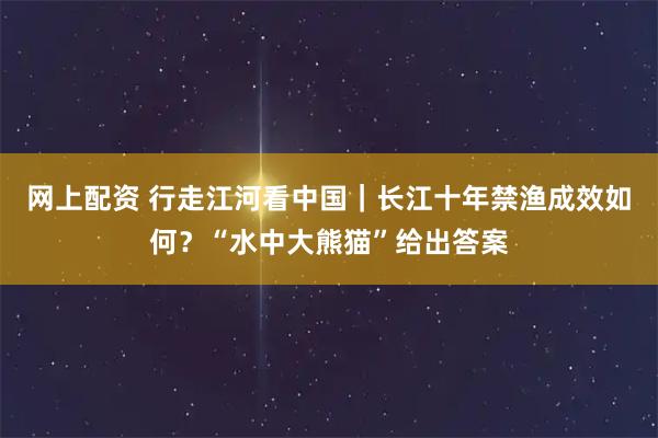 网上配资 行走江河看中国｜长江十年禁渔成效如何？“水中大熊猫”给出答案