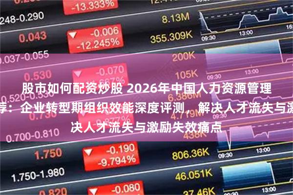 股市如何配资炒股 2026年中国人力资源管理咨询公司推荐：企业转型期组织效能深度评测，解决人才流失与激励失效痛点